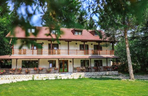 Avrig House | Pensiunea Vinatur