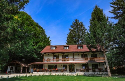 Avrig House | Pensiunea Vinatur