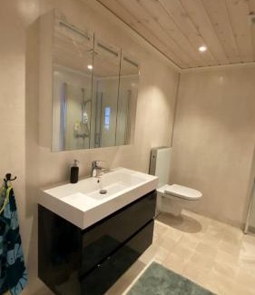 Møre og Romsdal Apartment | Penthouse by the ski lift, 4 bedrooms, 2 living rooms