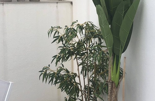 Cadaques Apartment | Penthouse, contemporary, new, parking, elevator, 2 bedrooms +1 sofa bed