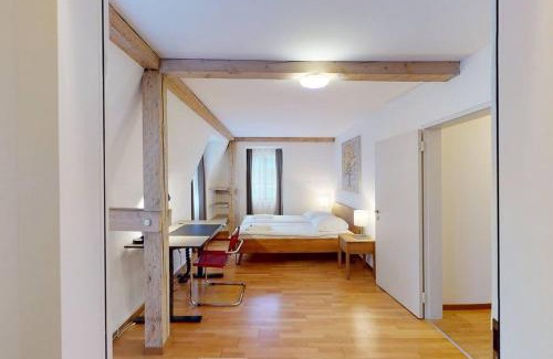 Muhlebach Apartment | Penthouse flat in the city center/near lake (SF18)