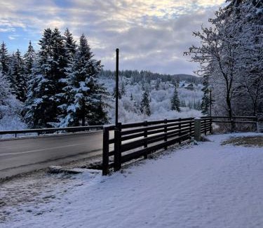 Predeal Apartment | Penthouse luxury Predeal View