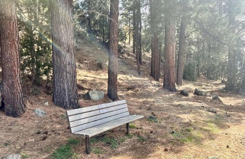 Show Low Villa | Penthouse Suite at Meadow View!