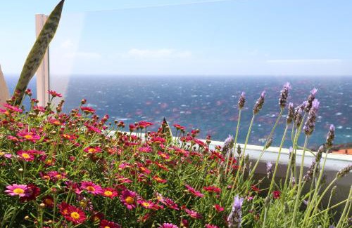 Canico Apartment | Penthouse Ventur