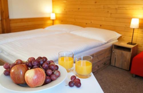 Cerny Dul Hotel | Penzion Čistá