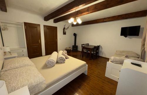 Rozmberk nad Vltavou House | Penzion U Dvou koček