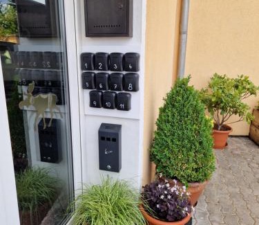 Sporice House | penzion U losa