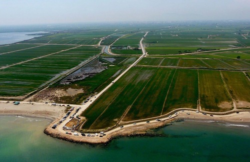 L'Eucaliptus Apartment | PERFECT APARTMENT IN DELTA DEL EBRO !!