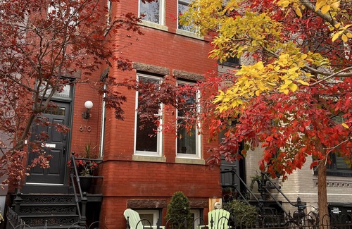 Stanton Park House | Perfect Capitol Hill Location - Close to Sights, Restaurants and Transportation