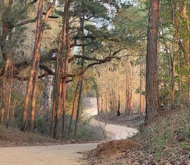 Claxton House | Perfect Couple's or Solo Getaway: 1840s Log Cabin, Claxton, GA