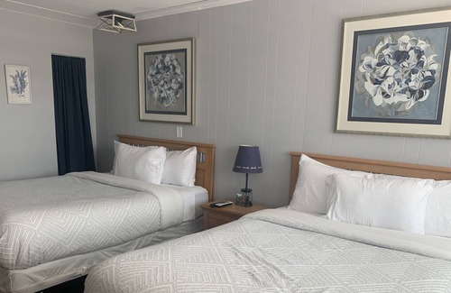 South End Apartment | Perfect Location ! Immaculately kept Studio - sleeps 4