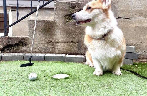 South Perry District House | Perry Pup House – Vintage Charm, Dog-Friendly, Walk to Cafés/Brewery