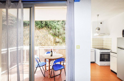 Amelie-les-Bains-Palalda Apartment | Pet friendly apartment