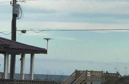 Ocean City Beach Other | Pet Friendly Beach Cottage and Crashing Waves!