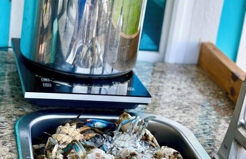 Dickinson Apartment | Pet-friendly accommodations near water and restaurants.