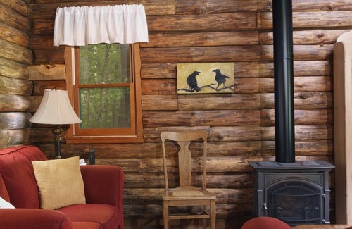 Lake Pleasant Cabin | Pet Friendly and Private: Lakefront Log Cabin on 3 acres