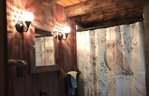 Lake Pleasant Cabin | Pet Friendly and Private: Lakefront Log Cabin on 3 acres