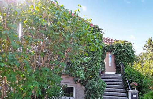 Muritz Apartment | Pet friendly apartment in Klink