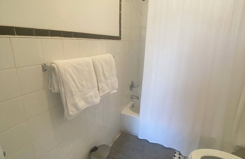 Brush Park Apartment | Pet Friendly Apartment In Arena District with Parking