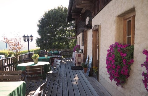 Lam Apartment | Pet-friendly apartment without balcony offers rustic coziness