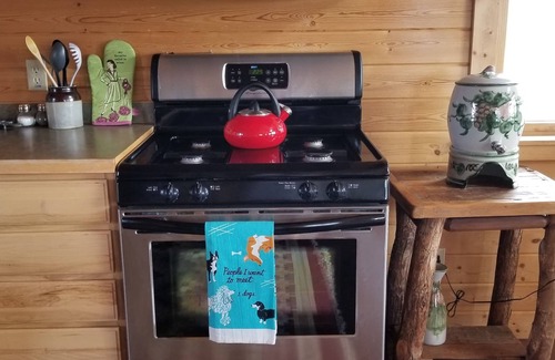 Livingston Cabin | Pet friendly Emigrant Pk Cabin 30 mins - Yellowstone. 5 mins to Chico ht springs