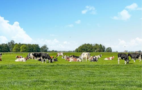 Lemmer House | Pet Friendly Home In Lemmer With Wifi