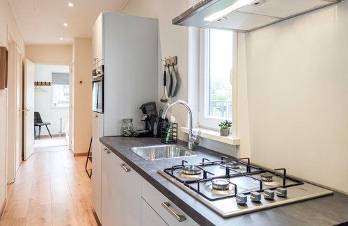 Heinkenszand House | Pet friendly home in Heinkenszand