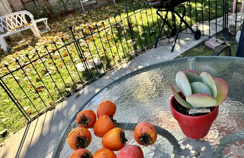 Burbank House | Pet Friendly Large Backyard Steps to Chandler Bike Path