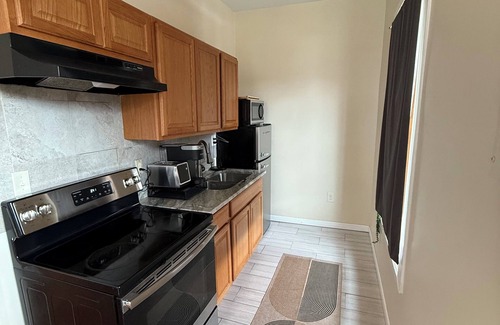 Brush Park Apartment | Pet Friendly Studio In Arena District With Event Parking