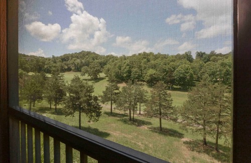 Branson West Apartment | Pet Friendly Town Home Near SDC