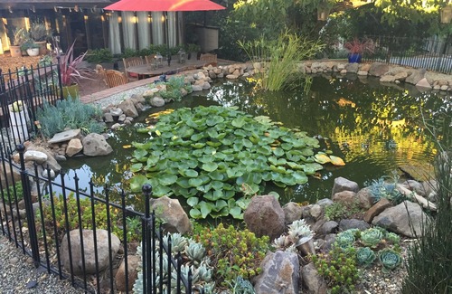 Petaluma House | Petaluma Koi Pond Retreat . very relaxing and close to wine country.