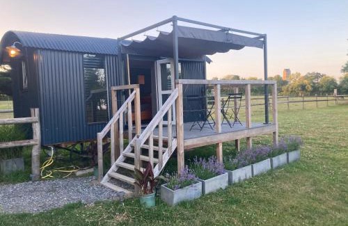 Dragey-Ronthon House | Petit Bijou