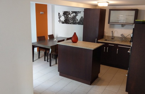 Schiltigheim Apartment | PETITE AILE SUD, STRASBOURG - SCHILTIGHEIM