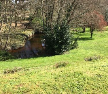 Cabanac-Et-Villagrains Apartment | Petite maison dans la prairie