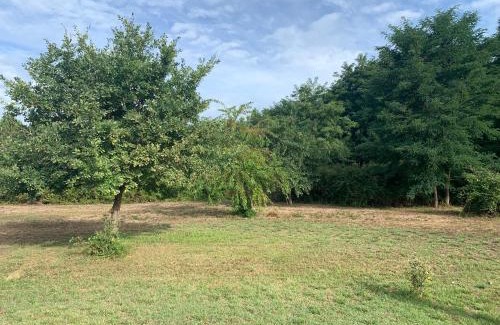 Cabanac-Et-Villagrains Apartment | Petite maison dans la prairie