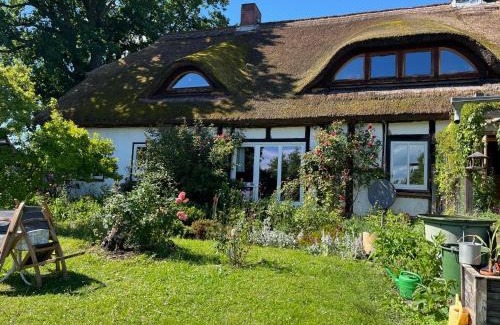 Muritz Apartment | Pfarrhaus Tollensesee