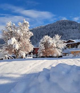 Flachau Apartment | Phantasia