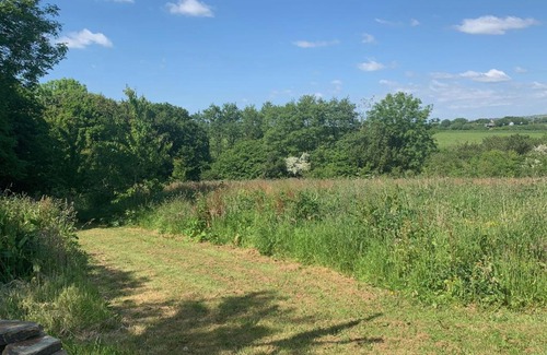Summercourt House | Pheasants Wander at Rosewyn