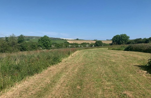 Summercourt House | Pheasants Wander at Rosewyn