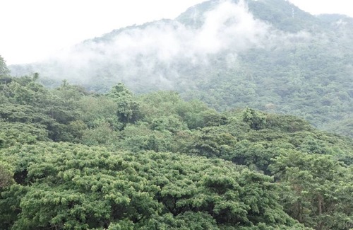 Barangay 16 Apartment | Pico de Loro Beach & Country Club Jacb715Penthous