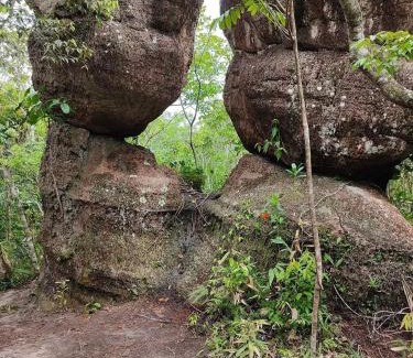 San Jose del Guaviare House | Piedra Alta