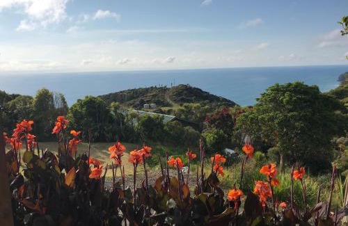 New Lynn House | Piha Tiny House