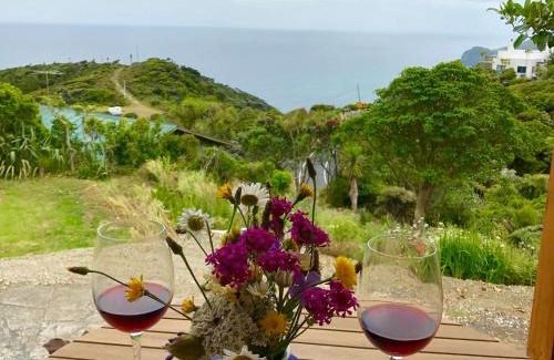 New Lynn House | Piha Tiny House