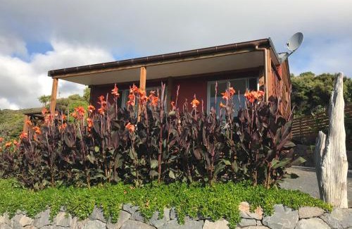 New Lynn House | Piha Tiny House