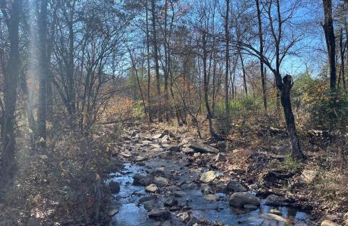 Dover Other | Pilot Rock Base Camp