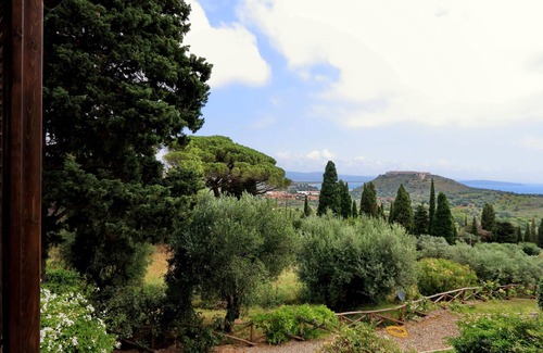 Porto Ercole Apartment | Pimpinnacolo - 2BR P5