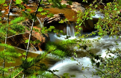 Estes Park Resort | Pine Haven Resort