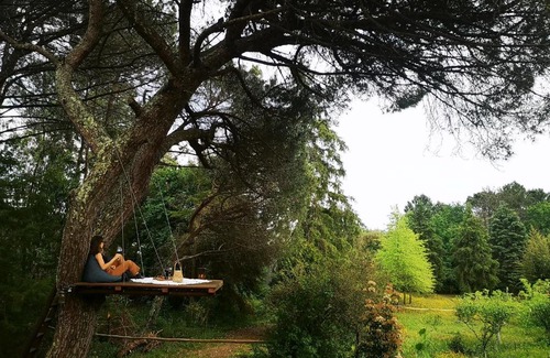 Valongo Villa | Pine Lodge