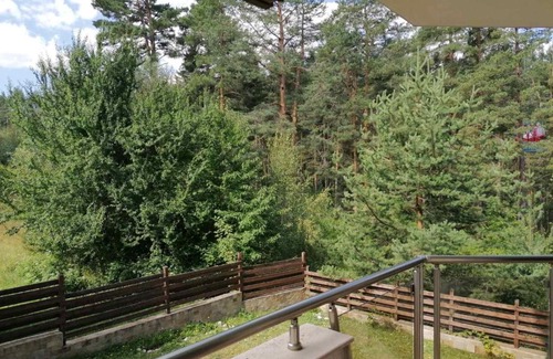 Shiligarnika Apartment | Pine trees apartments