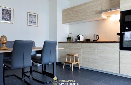Innere Vorstadt Apartment | Pineapple Apartments Dresden Altstadt V - 112 qm - 1x free parking